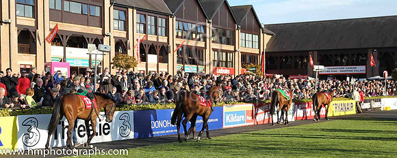 01st Whiteout (GER) ( 12 , blue and yellow stripes, yellow sleeves ) and P. Townend - Trainer : W.P. Mullins - Owner : D.Lawlor