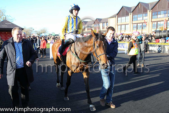 01st Whiteout (GER) ( 12 , blue and yellow stripes, yellow sleeves ) and P. Townend - Trainer : W.P. Mullins - Owner : D.Lawlor