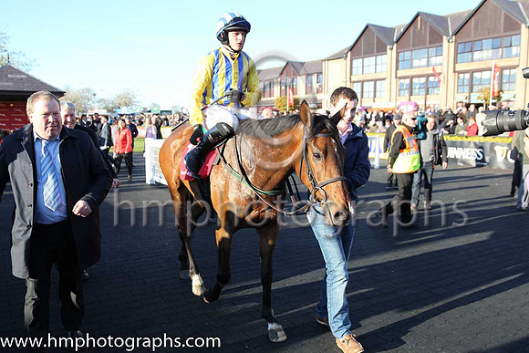 01st Whiteout (GER) ( 12 , blue and yellow stripes, yellow sleeves ) and P. Townend - Trainer : W.P. Mullins - Owner : D.Lawlor