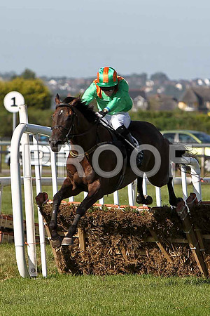 Patseysister 2nd, Jockey R J Jones - CU2D0098-e2