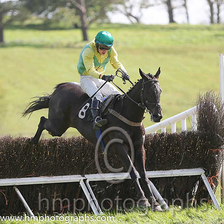 01st Mr Bolt ( 8 ) and N McParlan - Trainer : Sean McParlan - green and yellow diabolo