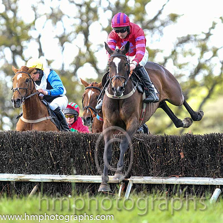 01st Without Wings ( 6 ) and M J O'Hare - Trainer : Liam Lennon - red, purple cross