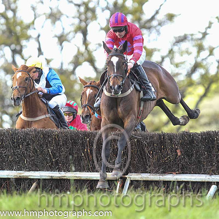 01st Without Wings ( 6 ) and M J O'Hare - Trainer : Liam Lennon - red, purple cross