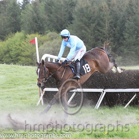 03rd Hammer And Anvil ( 18 ) and J C barry - Trainer : I R Ferguson - blue, white diamond