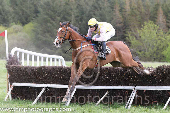 09th PU Sea Fresh ( 25 ) and N Gault - Trainer : Warren Ewing - pink and yellow check