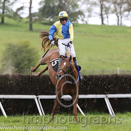 02nd Goonjim ( 15 ) and B O'Neill - Trainer : Colin Bowe - purple and yellow hlvd