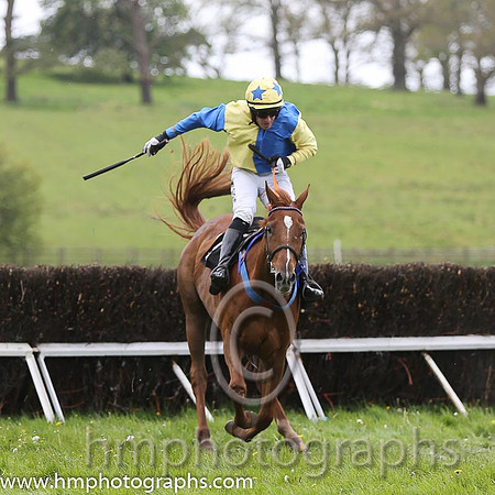 02nd Goonjim ( 15 ) and B O'Neill - Trainer : Colin Bowe - purple and yellow hlvd