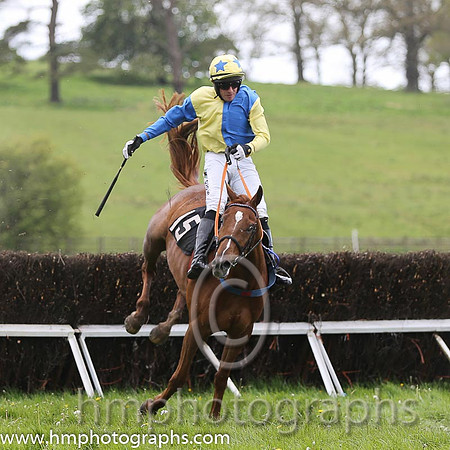 02nd Goonjim ( 15 ) and B O'Neill - Trainer : Colin Bowe - purple and yellow hlvd