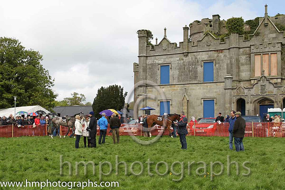 Parade Ring at Necarne