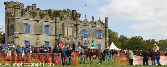 Parade Ring at Necarne