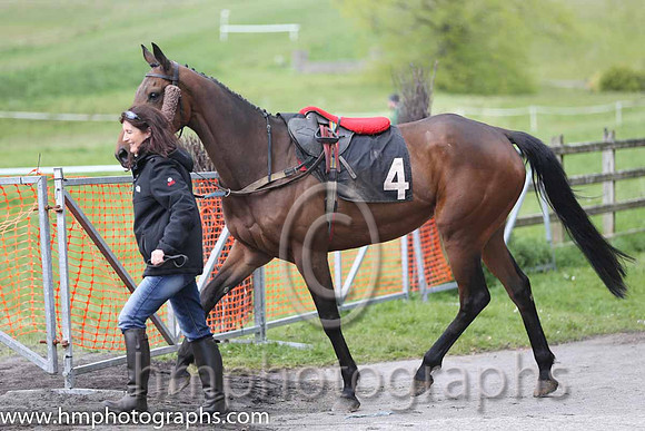03rd Scarva's Cindy ( 4 ) and H Dunne - Trainer : Marshall Watson - green and buff hoops