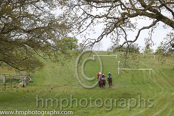Down the Hill at Nevarne - Race 2