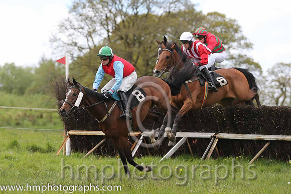 01st Tamacilla ( 8 ) and J Cresswell - Trainer : Brian W Dougan - red, blue sleeves