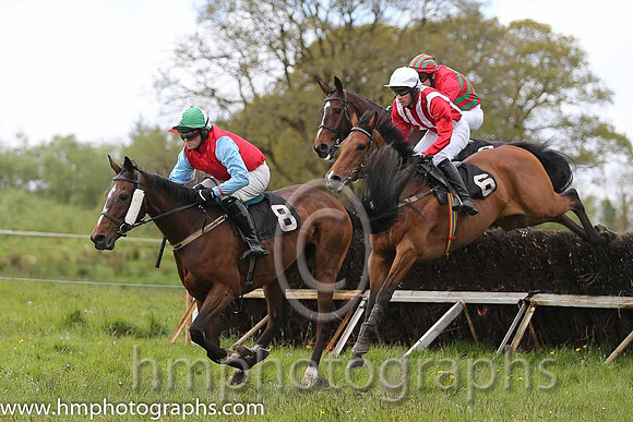 01st Tamacilla ( 8 ) and J Cresswell - Trainer : Brian W Dougan - red, blue sleeves