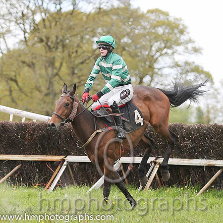 03rd Scarva's Cindy ( 4 ) and H Dunne - Trainer : Marshall Watson - green and buff hoops