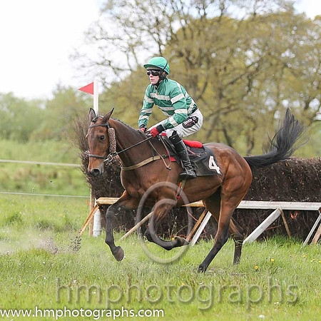 03rd Scarva's Cindy ( 4 ) and H Dunne - Trainer : Marshall Watson - green and buff hoops