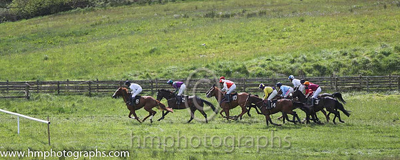 08th PU Lisnagreggan ( 8 ) and N Gault - Trainer : William Gault - white, black sash