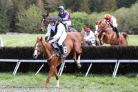 08th PU Lisnagreggan ( 8 ) and N Gault - Trainer : William Gault - white, black sash