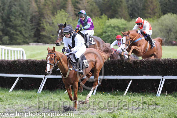 05th Bilbo Bagins ( 2 ) and A Murphy - Trainer : Brian Scott - maroon and grey qtrd