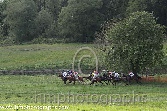 Race 3 at Necarne P2P