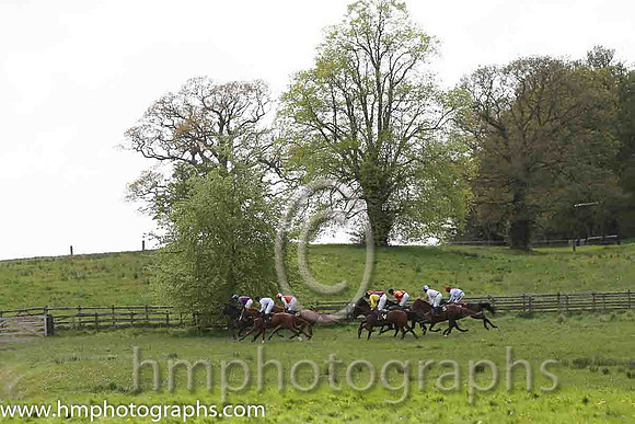 Race 3 at Necarne P2P