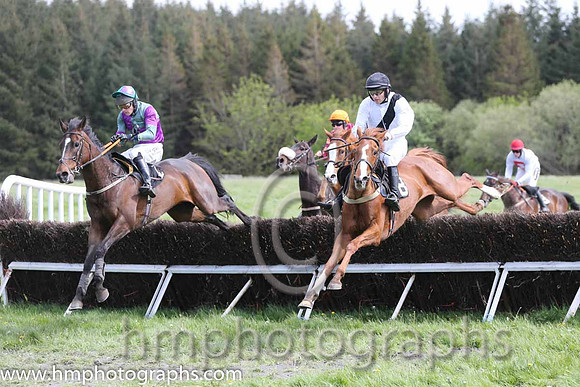 08th PU Lisnagreggan ( 8 ) and N Gault - Trainer : William Gault - white, black sash