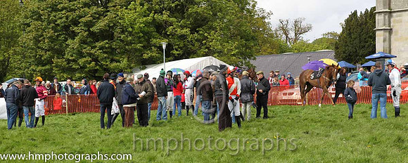 Parade ring at Necarne P2P