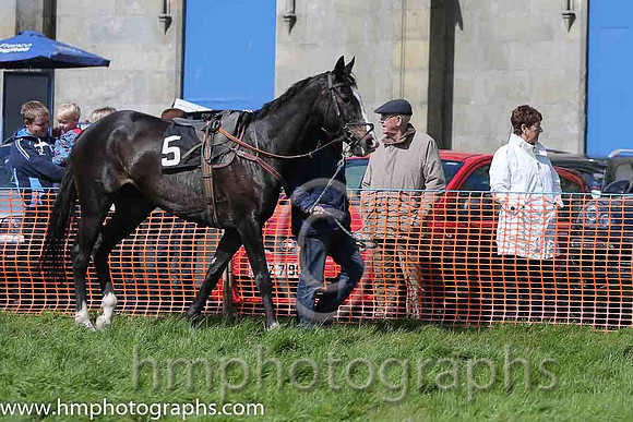02nd Chosen Dream ( 5 ) and Derek O'Connor - Trainer : Graham McKeever - emerald green , red braces