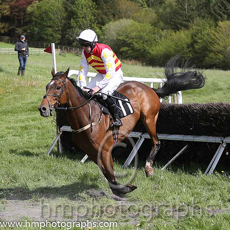 03rd Sweet Shock ( 11 ) and N T Slevin - Trainer : Ms Frances Slevin - red, yellow chevrons