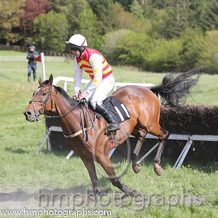 03rd Sweet Shock ( 11 ) and N T Slevin - Trainer : Ms Frances Slevin - red, yellow chevrons