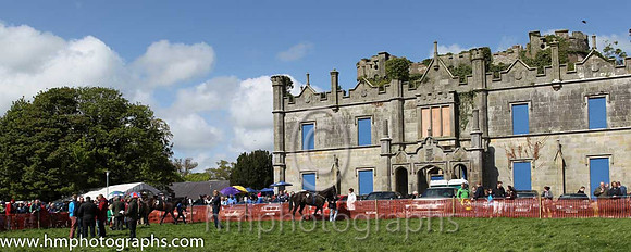 Parade ring at Necarne