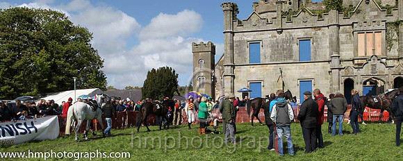 Parade ring at Necarne P2P