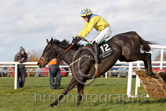 Great Oak & Mr A Enright - 2nd (12, yellow, royal blue sash) - FT8E7881-e