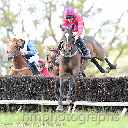 01st Without Wings ( 6 ) and M J O'Hare - Trainer : Liam Lennon - red, purple cross