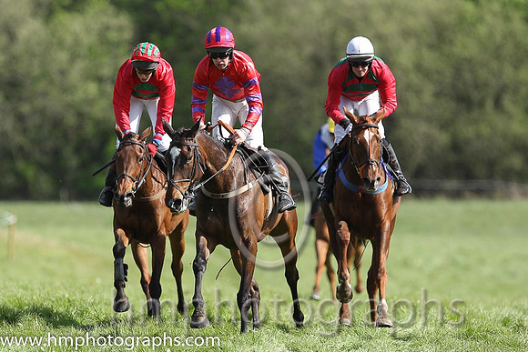03rd Hillbilly Babe ( 2 ) and Ms S Larkin - Trainer : Nessa Toher - green and red chevrons