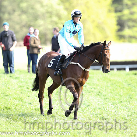 04th Knockedoutloaded ( 5 ) and A J Doyle - Trainer : Vincent Devereux - sky blue, navy triple diamond