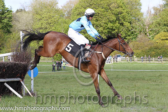 04th Knockedoutloaded ( 5 ) and A J Doyle - Trainer : Vincent Devereux - sky blue, navy triple diamond