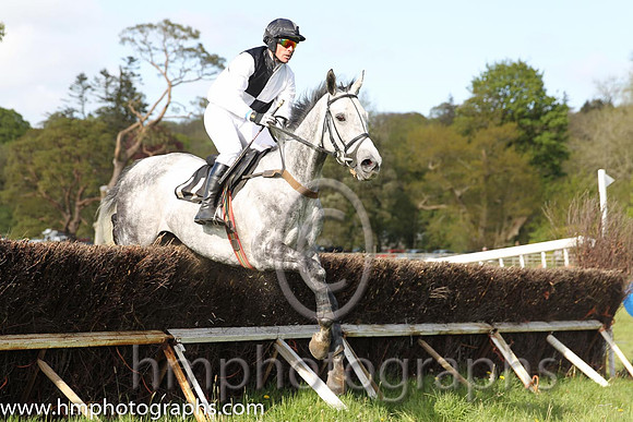 07th PU Tobin Frost ( 11 ) and A Wells - Trainer : Robert J Gault - white and black qtrd, white sleeves, black cap