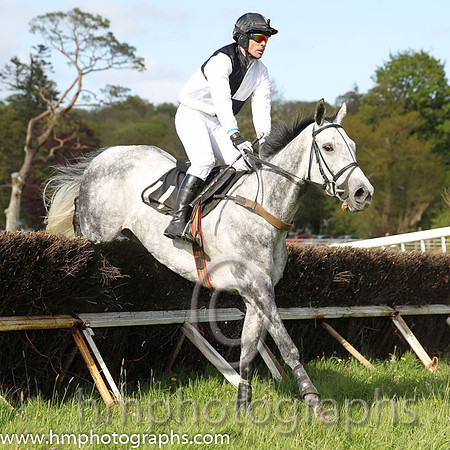 07th PU Tobin Frost ( 11 ) and A Wells - Trainer : Robert J Gault - white and black qtrd, white sleeves, black cap