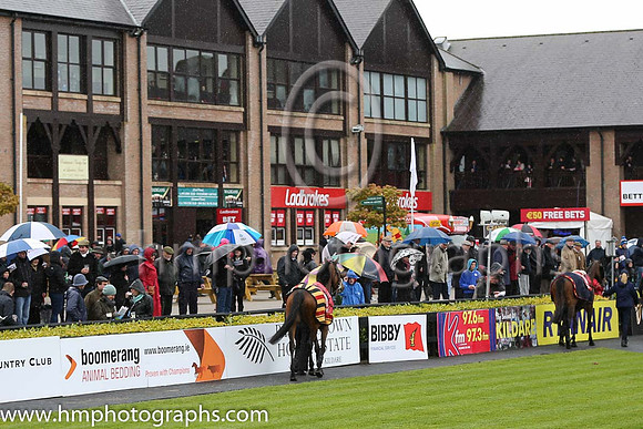 Punchestown Parade Ring