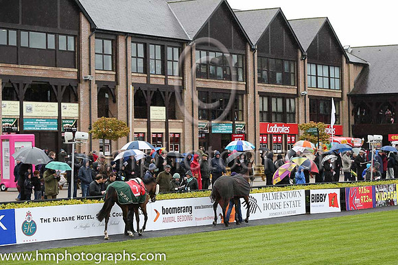 Parade Ring at Punchestown on a wet day