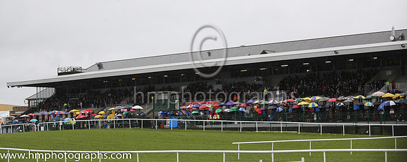 Wet day at Punchestown