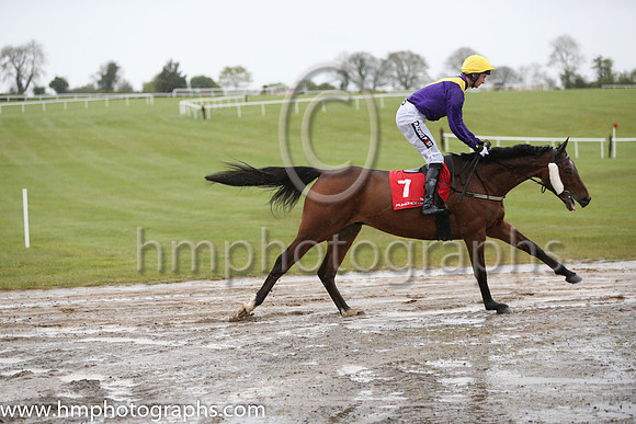 06th Are Ya Right Chief ( 7 , purple, yellow chevron ) and P.W. Mullins - Trainer : W.P. Mullins - Owner : Mrs M McMahon