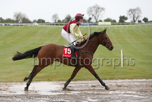 09th So Influential ( 15 , purple, yellow inverted triangle ) and B.M. Cash - Trainer : Peter Maher - Owner : R. O'Connor