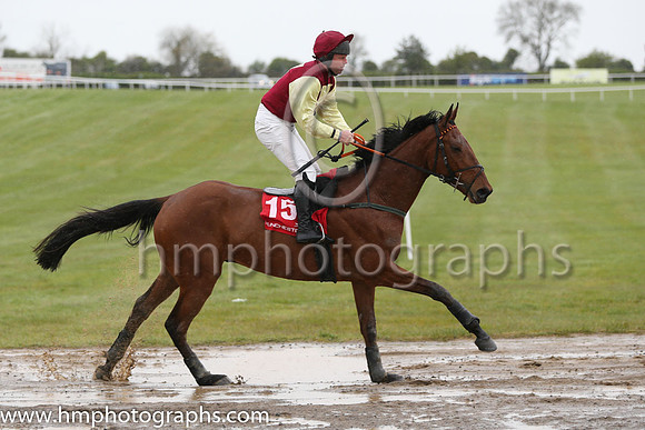 09th So Influential ( 15 , purple, yellow inverted triangle ) and B.M. Cash - Trainer : Peter Maher - Owner : R. O'Connor