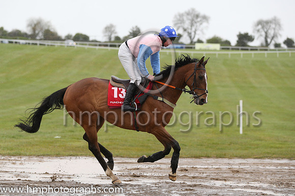 10th Serious Times ( 13 , pink, light blue sleeves ) and A.E. Lynch - Trainer : Peter Maher - Owner : A. Weld