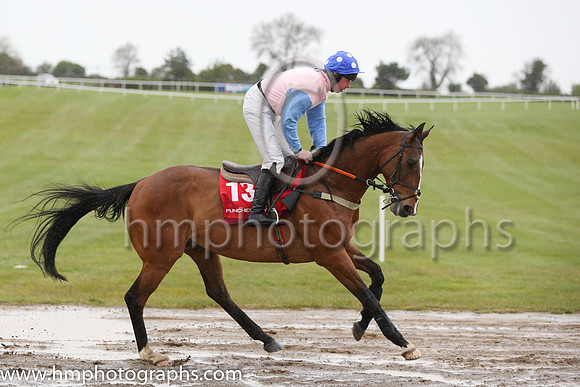 10th Serious Times ( 13 , pink, light blue sleeves ) and A.E. Lynch - Trainer : Peter Maher - Owner : A. Weld