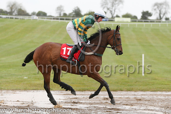 04th Wish Ye Didnt ( 17 , orange and green hoops ) and R.W. Barron (7) - Trainer : E. Bolger - Owner : John P. McManus