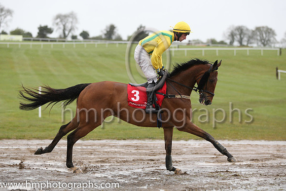 14th F Miley Shah ( 3 , yellow, green braces ) and J.J. Walsh (7) - Trainer : S.J. Kenny - Owner : S.J. Kenny