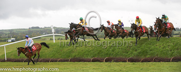 04th Wish Ye Didnt ( 17 , orange and green hoops ) and R.W. Barron (7) - Trainer : E. Bolger - Owner : John P. McManus